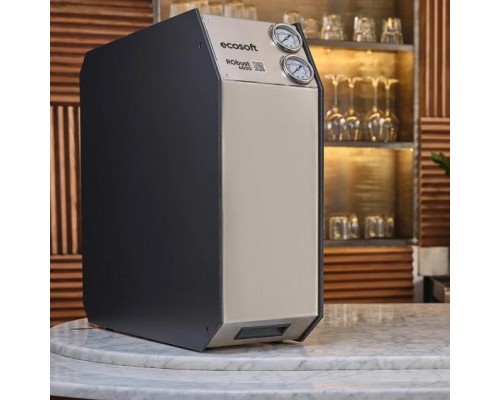 Фильтр обратного осмоса Ecosoft RObust 4000