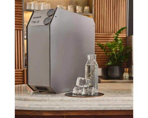 Фильтр обратного осмоса Ecosoft RObust 4000