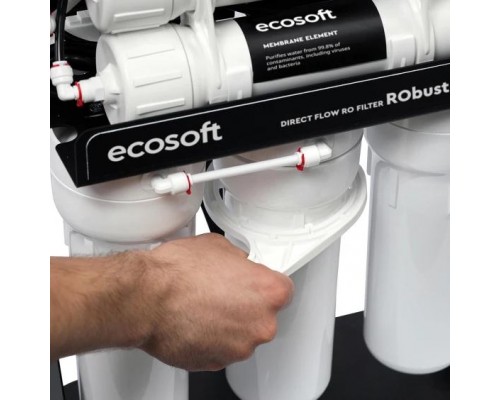 Фільтр зворотного осмосу Ecosoft RObust Mini