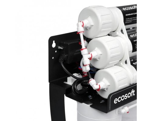 Фільтр зворотного осмосу Ecosoft RObust Mini